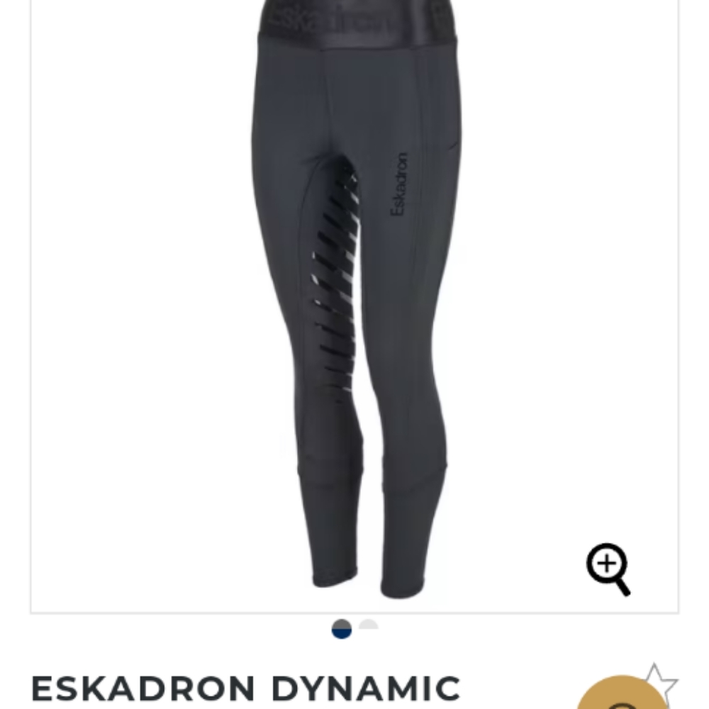 Eskadron equestrian pants (469)